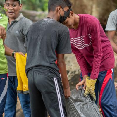 පිරිසිදු කිරීමේ වැඩසටහන
